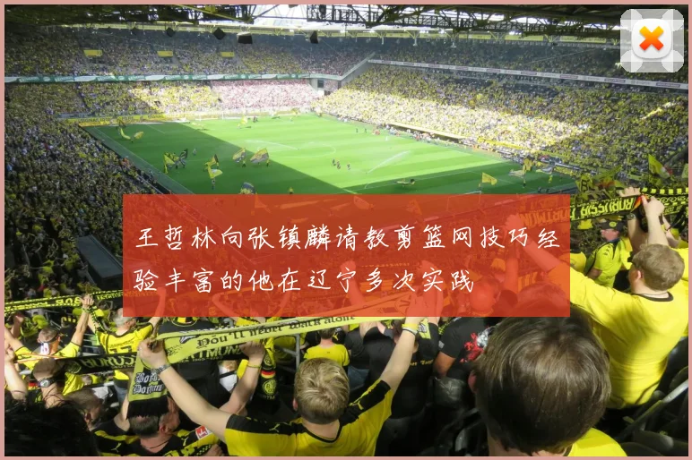 王哲林向张镇麟请教剪篮网技巧经验丰富的他在辽宁多次实践